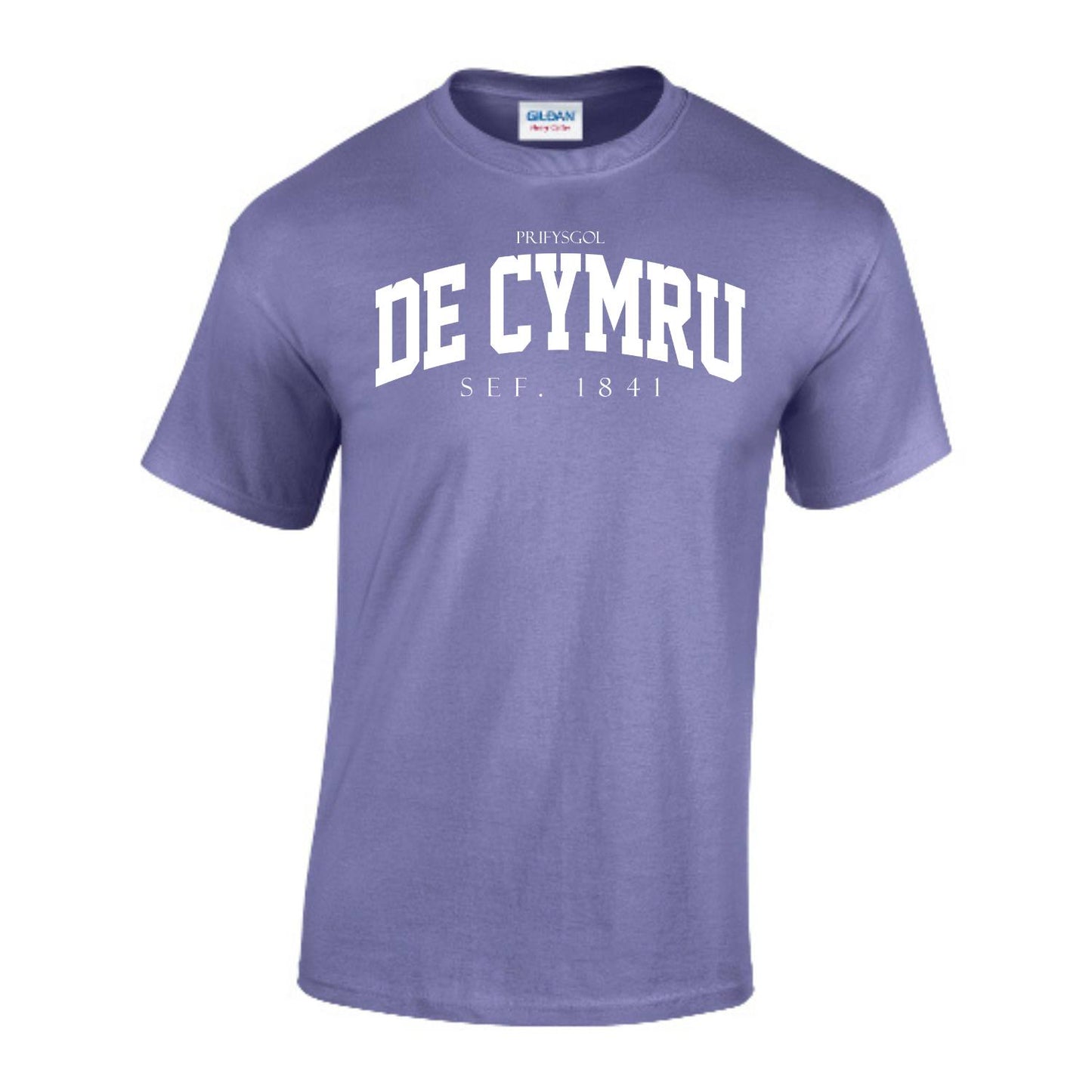Arched T-Shirt (Welsh)
