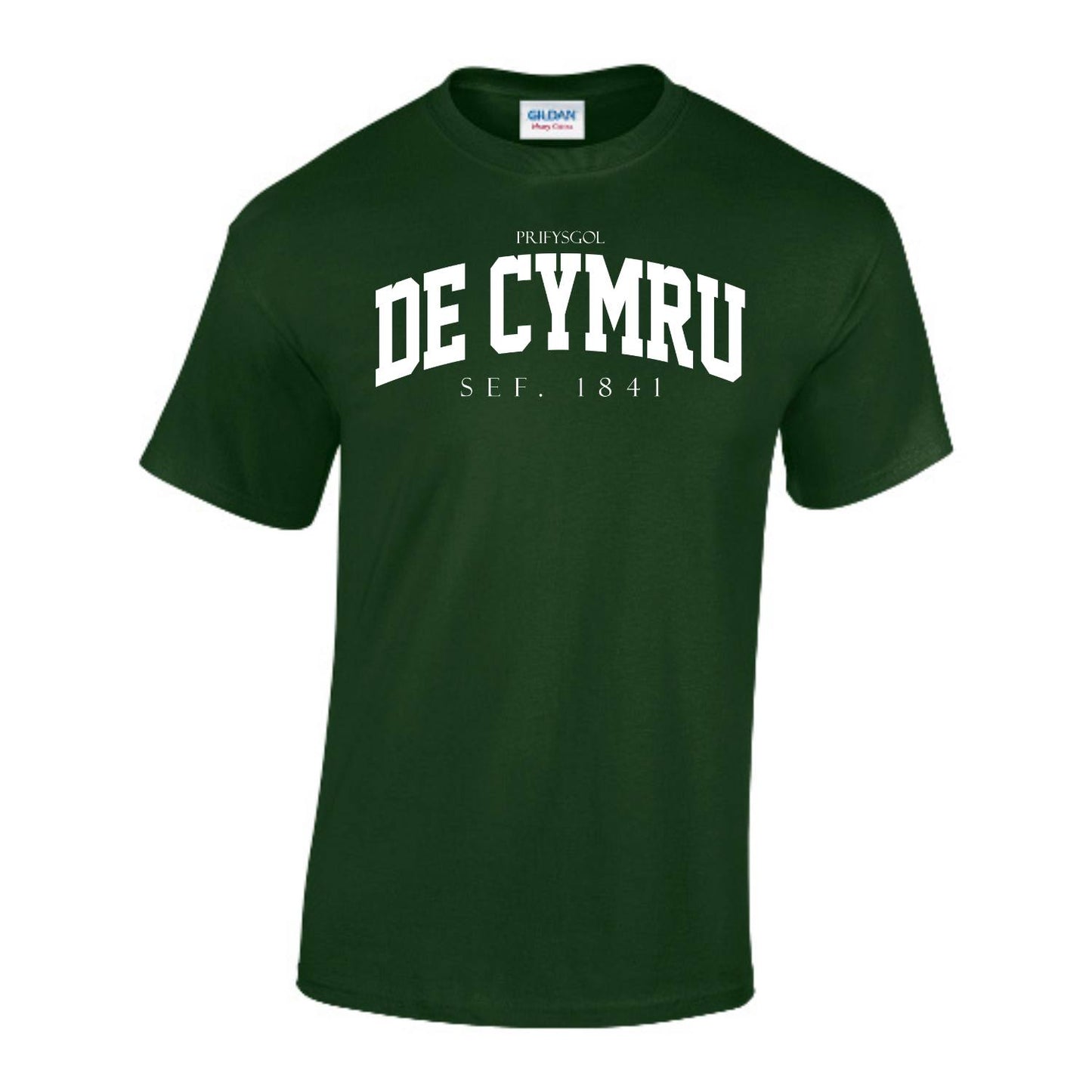 Arched T-Shirt (Welsh)