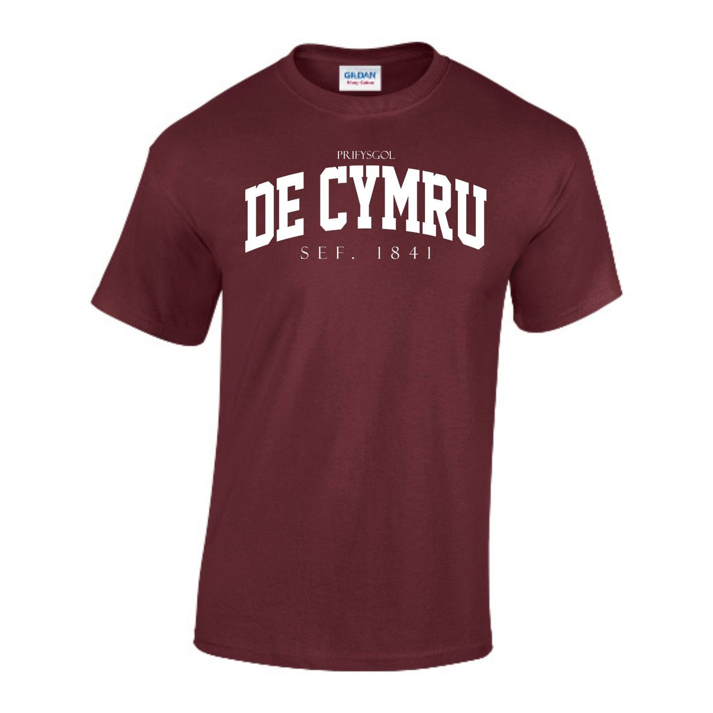 Arched T-Shirt (Welsh)