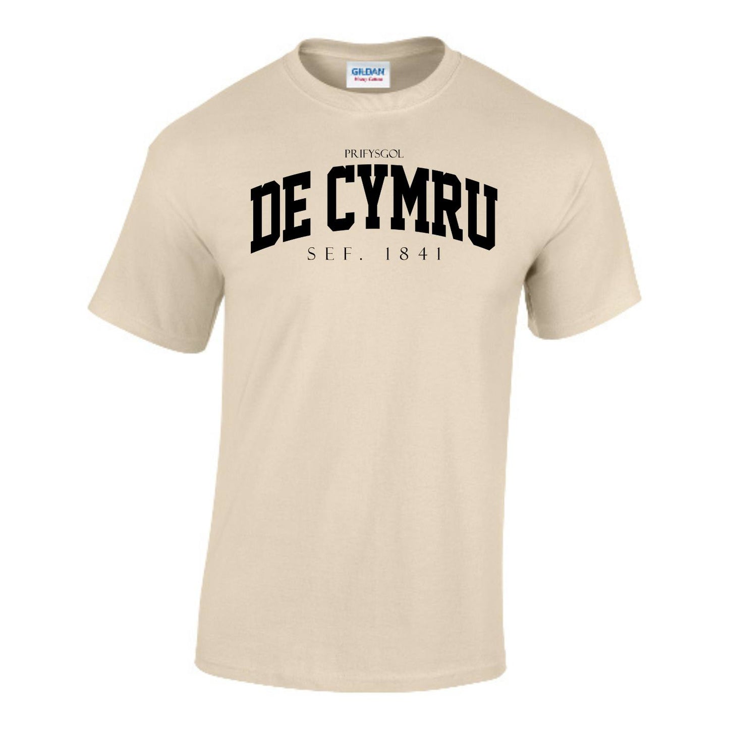 Arched T-Shirt (Welsh)