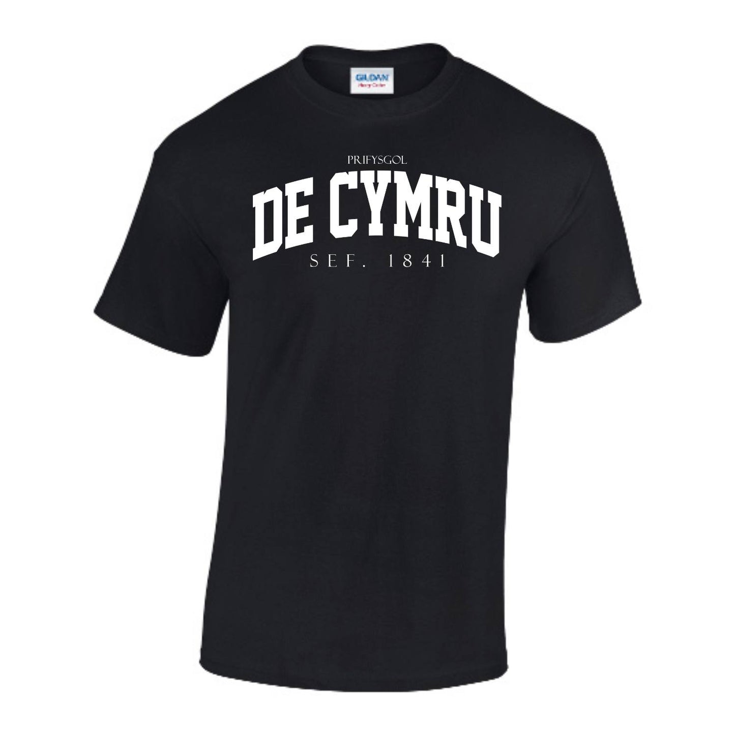 Arched T-Shirt (Welsh)
