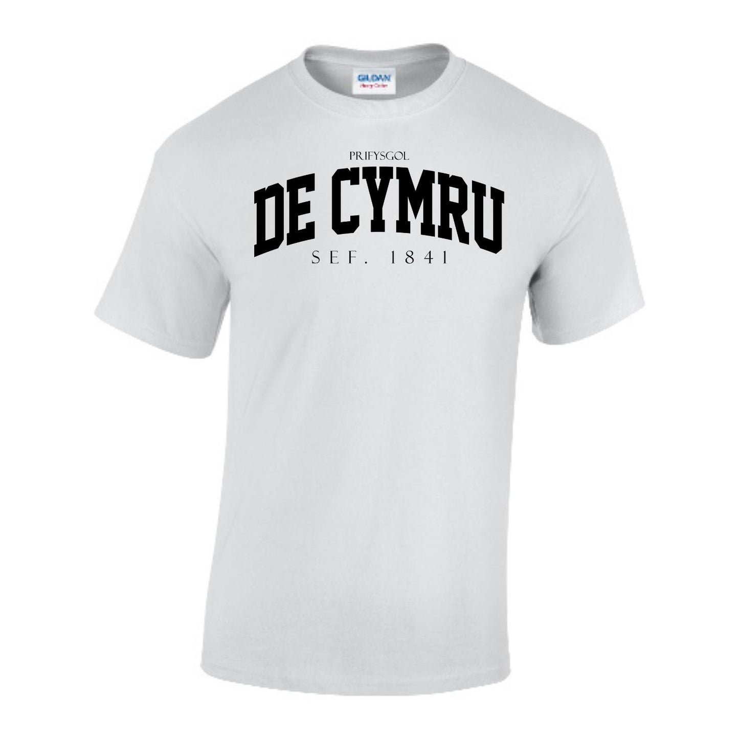 Arched T-Shirt (Welsh)