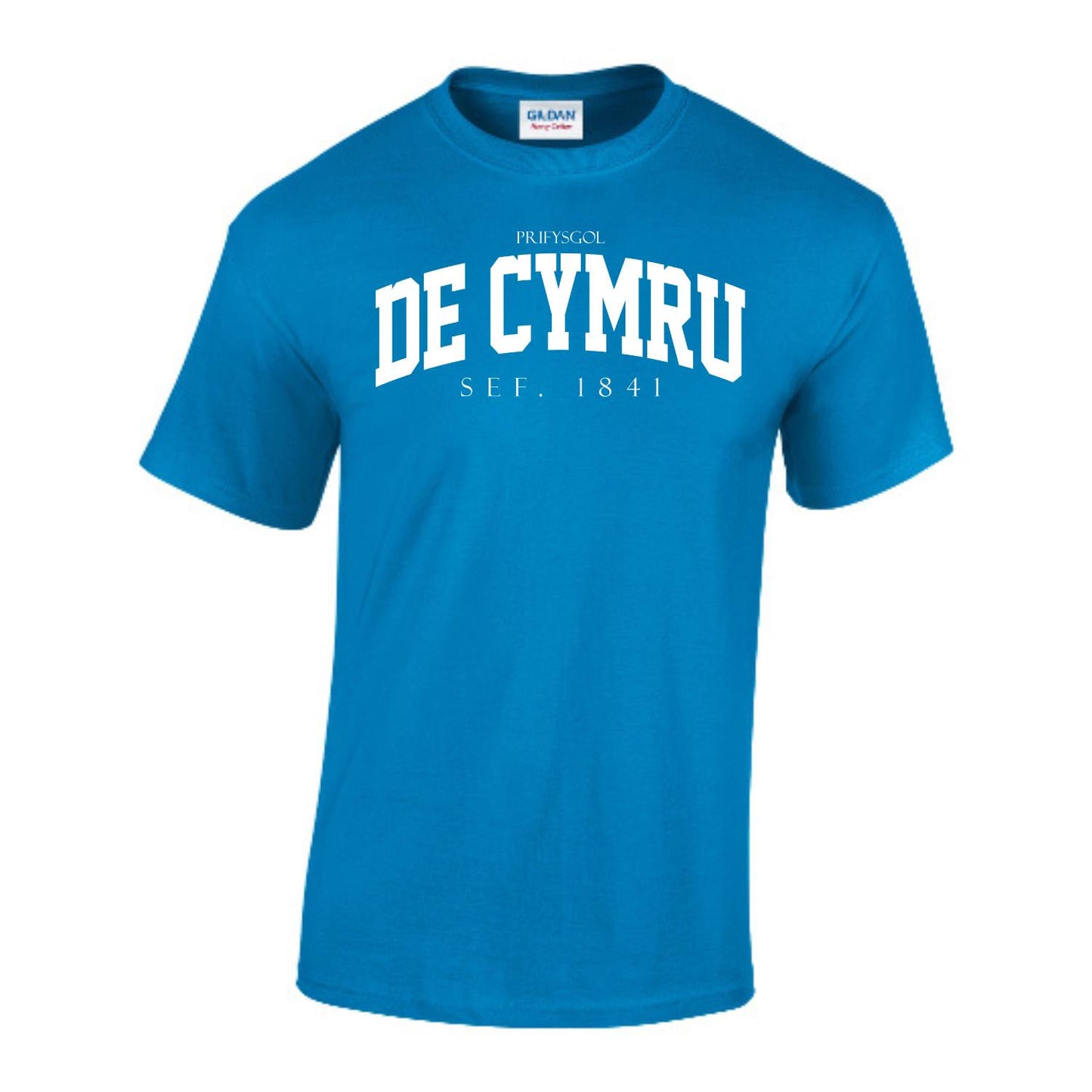 Arched T-Shirt (Welsh)